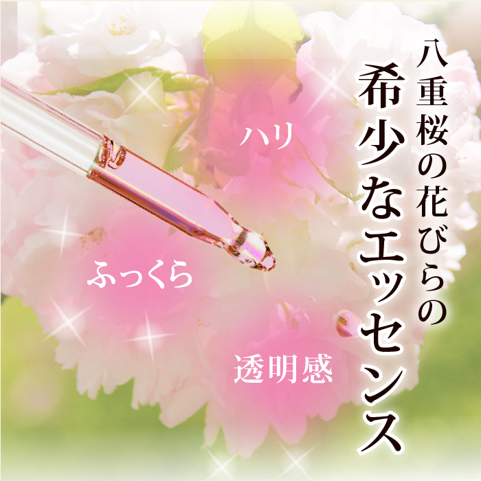 八重桜の希少なエッセンス