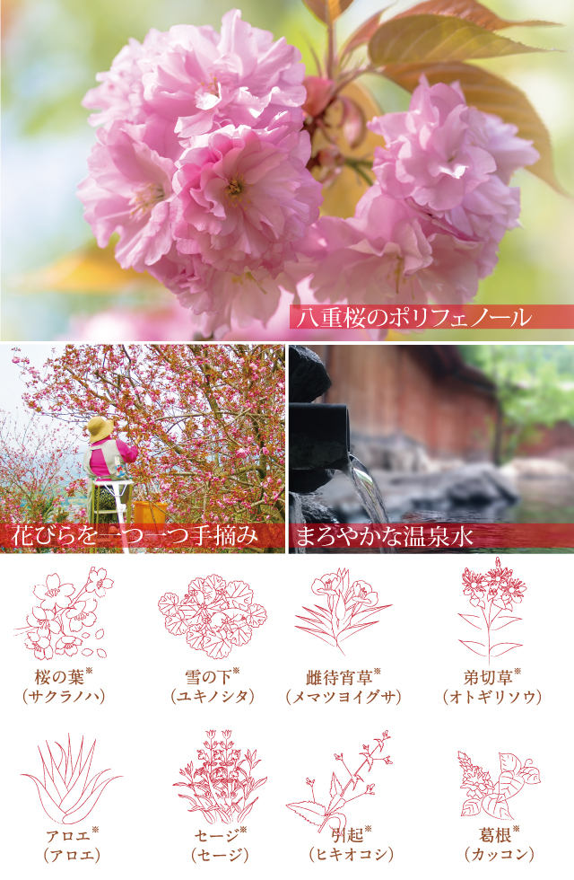 桜と七草の角質ぽろぽろジェル
